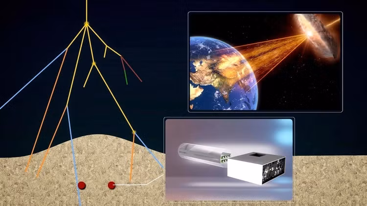 Vi sao mo Tan Thuy Hoang bi “phong an”, nha khoa hoc khong dam mo?-Hinh-3