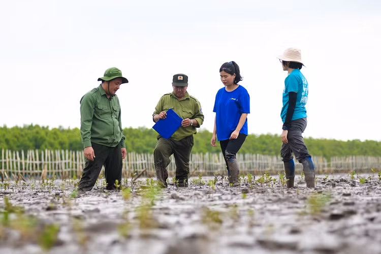 Canh rung Net Zero VINAMILK tai Cau Mau don nhung dan chim tro ve
