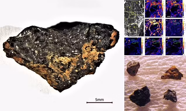 Vien da la an giau thu chua tung thay, thach thuc gioi khoa hoc-Hinh-8