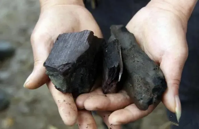 Vot duoc khuc go hon 1.000 tuoi, giat minh khi biet gia tri khung