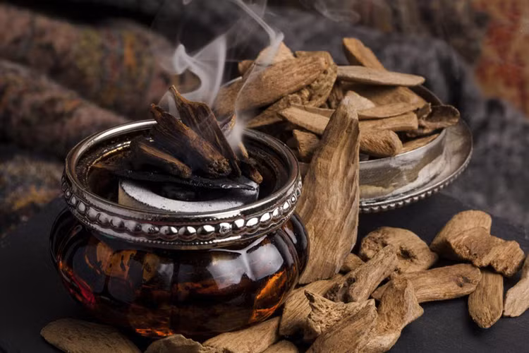 Vot duoc khuc go hon 1.000 tuoi, giat minh khi biet gia tri khung-Hinh-7