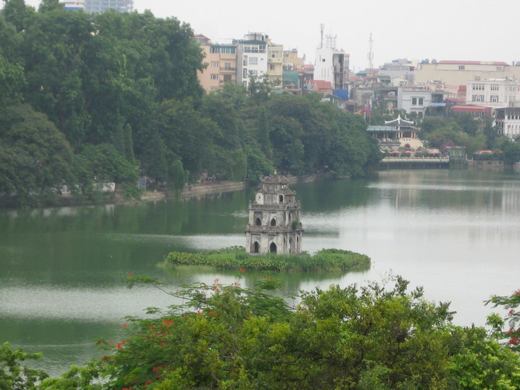 He sinh thai Ho Guom dang thay doi, chuyen gia 