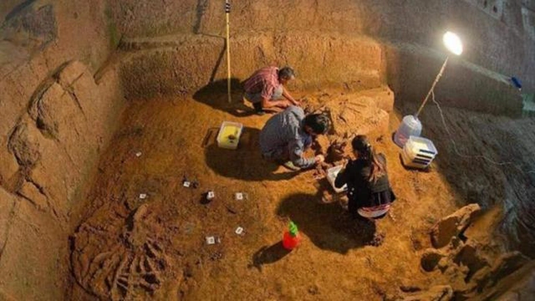 Rung minh “mo co doat mang nguoi”, 80 ke trom mot di khong tro lai-Hinh-8