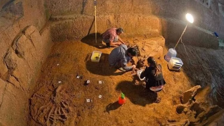 Rung minh “mo co doat mang nguoi”, 80 ke trom mot di khong tro lai-Hinh-8