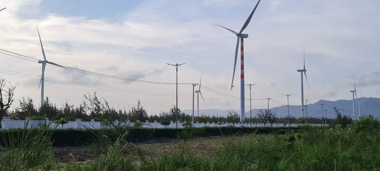 Den Binh Dinh, ngam ve dep hoang so cua bai bien Trung Luong-Hinh-11