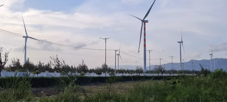 Den Binh Dinh, ngam ve dep hoang so cua bai bien Trung Luong-Hinh-11