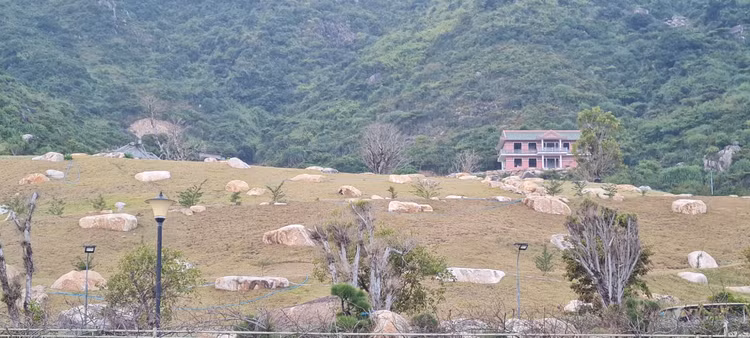 Den Binh Dinh, ngam ve dep hoang so cua bai bien Trung Luong-Hinh-5