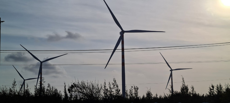 Den Binh Dinh, ngam ve dep hoang so cua bai bien Trung Luong-Hinh-9