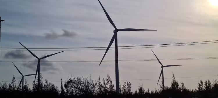 Den Binh Dinh, ngam ve dep hoang so cua bai bien Trung Luong-Hinh-9