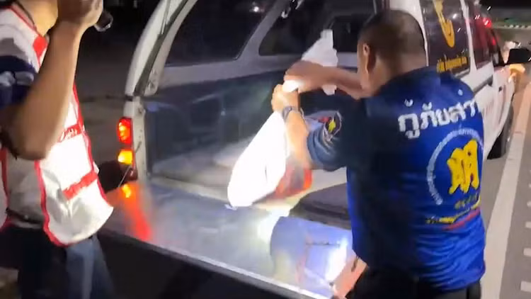 Bat song 'quai thu' an nap trong dong co o to-Hinh-3