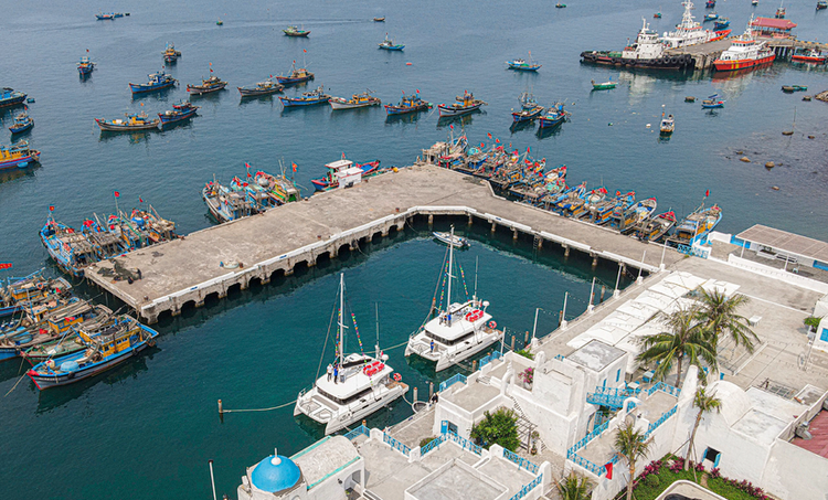 Da Nang: Nhieu hoat dong, trai nghiem moi hut khach-Hinh-7