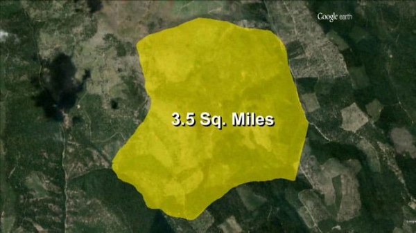 Khong the tin sinh vat lon nhat hanh tinh lai la mot.. cay nam!-Hinh-10