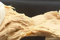 Phát minh loài nấm giàu protein có vị giống hệt thịt