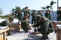 Chuẩn bị hoàn tất cho pháo hoa đêm Giao thừa tại Quảng Ngãi 2026