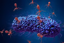 Công nghệ AI thiết kế virus diệt vi khuẩn: Tiềm năng và rủi ro