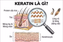 Vật liệu từ lông cừu hỗ trợ phục hồi xương tự nhiên tốt hơn collagen
