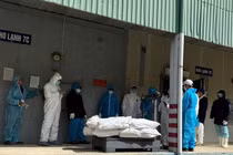 Hải Phòng kiểm tra toàn diện sản phẩm của Công ty Hạ Long vì dịch tả lợn