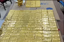 Shark Bình rửa tiền, bố mẹ Mr Pips gửi trăm tỷ đối diện mức án nào?