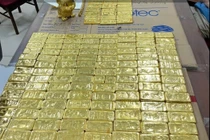 Shark Bình rửa tiền, bố mẹ Mr Pips gửi trăm tỷ đối diện mức án nào?