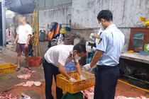 Chuyển hồ sơ vụ gần 1 tấn thịt lợn nhiễm tả lợn châu Phi sang điều tra