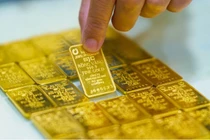 Thủ tướng yêu cầu sớm có giải pháp huy động ngoại tệ, vàng miếng trong dân