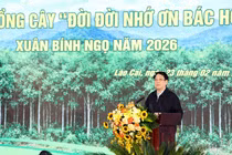 Chủ tịch nước dự lễ phát động Tết trồng cây 2026 tại Lào Cai
