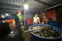 Triệt phá đường dây ngâm thịt ốc bằng hóa chất độc hại tại TPHCM