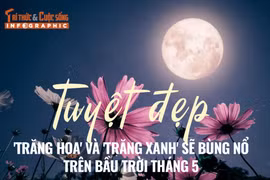 [INFOGRAPHIC] 'Trăng Hoa' và 'Trăng Xanh' sẽ xuất hiện vào tháng 5