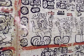 Bản thảo Grolier: Phát hiện cổ nhất của người Maya sau nhiều năm tranh cãi