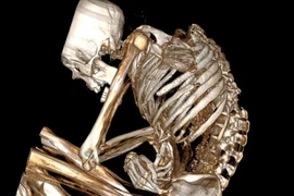 Phát hiện xác ướp thợ mỏ ngọc lam cổ đại tại Chile