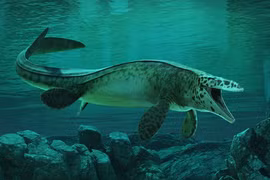 Phát hiện loài thủy quái mới Tylosaurus rex từng thống trị biển cả