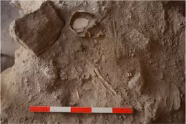 Phát hiện mộ tập thể khoảng 2.500 tuổi chứa hài cốt của 89 trẻ em