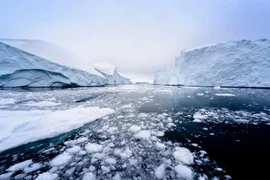 Bắc Cực ấm lên kỷ lục chuyên gia chỉ loạt hiện tượng đáng sợ bùng phát