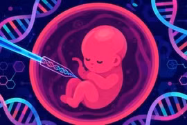 Công nghệ chỉnh sửa gene phôi người của Đại học Columbia đạt bước tiến mới