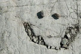 Người nhìn thấy khuôn mặt trong đồ vật quen thuộc: bí ẩn của não bộ