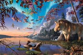 Loài tê giác kỳ lạ không sừng sống ở Bắc Cực cổ đại