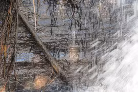 Kỳ lạ hàng nghìn con cá nhỏ leo lên vách thác nước thẳng đứng 