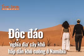 Độc đáo 'nghĩa địa' cây khô hấp dẫn ở Namibia