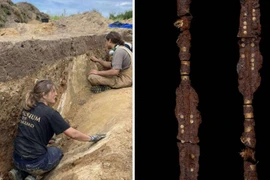 Phát hiện cặp giáo mạ vàng cổ nhất Đan Mạch 2.800 năm