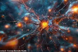 Khám phá số lượng giác quan thực sự của con người