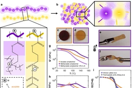 Các nhà khoa học Hà Lan phát minh vật liệu thách thức các định luật vật lý