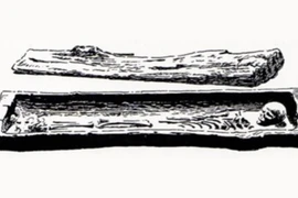 Nghiên cứu mới hé lộ bí ẩn về 'Công chúa Bagicz' và chiếc quan tài cổ