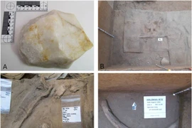 Công cụ ngà voi 14.000 năm tuổi tiết lộ con đường di cư của người Clovis