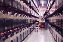 Google nâng cấp Gemini Live thành trợ lý AI biết chỉ trỏ 