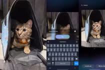 Galaxy S26 miễn phí công cụ ảnh AI