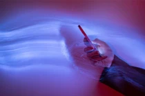 Chatbot AI tiêu thụ điện khổng lồ và nỗi lo bền vững