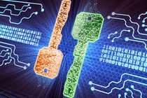 Chỉ một sơ suất nhỏ, toàn bộ tiền số có thể mất trắng