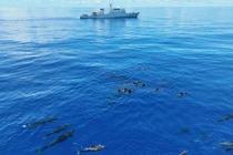 Trung Quốc chơi lớn, khoe "mắt thần" dự báo thảm họa... thế giới chưa ai làm