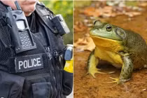 Dùng AI viết báo cáo, cảnh sát Mỹ bị “biến thành ếch”