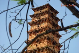 Giá trị đặc biệt của tòa tháp Phật giáo cổ xưa đẹp nhất Việt Nam 